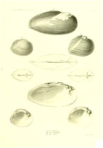 n508_w1150