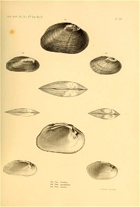 n530_w1150