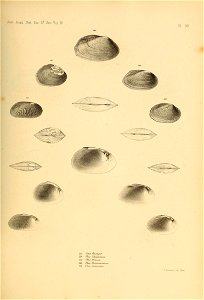 n500_w1150