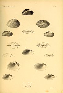 n468_w1150