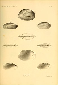 n498_w1150