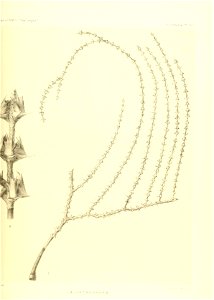 n450_w1150