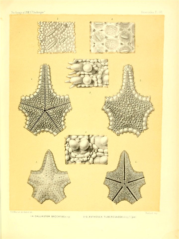 n238_w1150