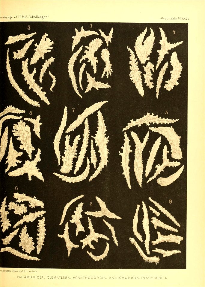 n506_w1150