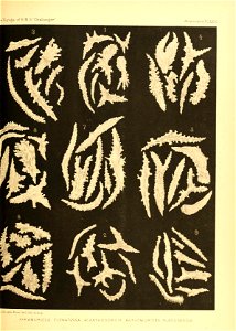 n506_w1150