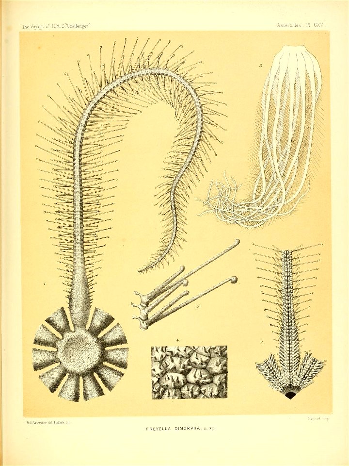 n476_w1150