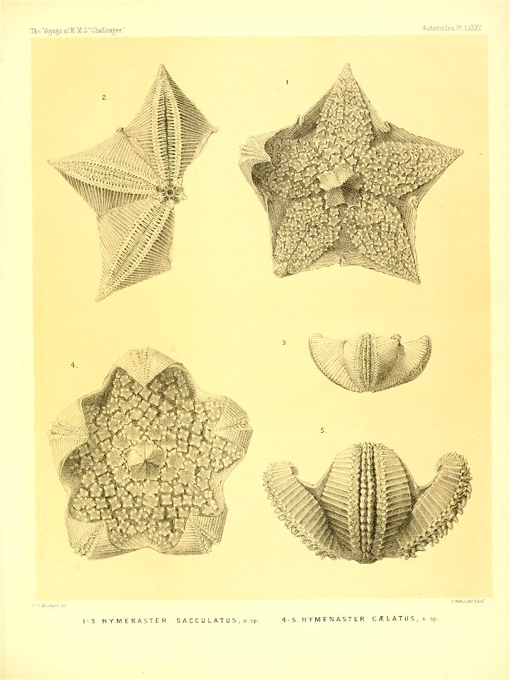 n354_w1150