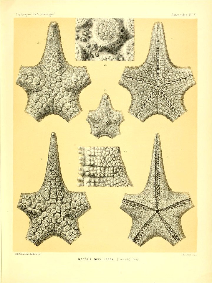 n234_w1150