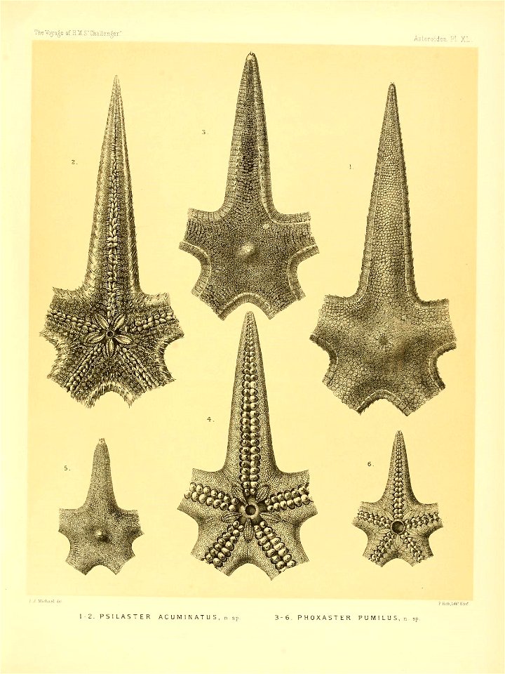 n174_w1150