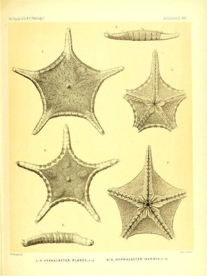 n114_w1150