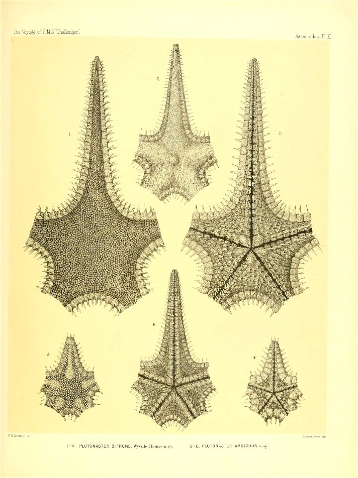 n54_w1150