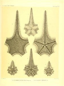n54_w1150