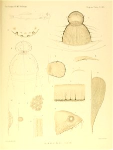 n752_w1150