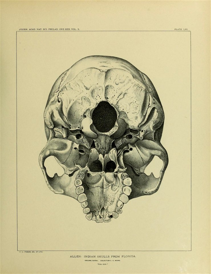 n672_w1150