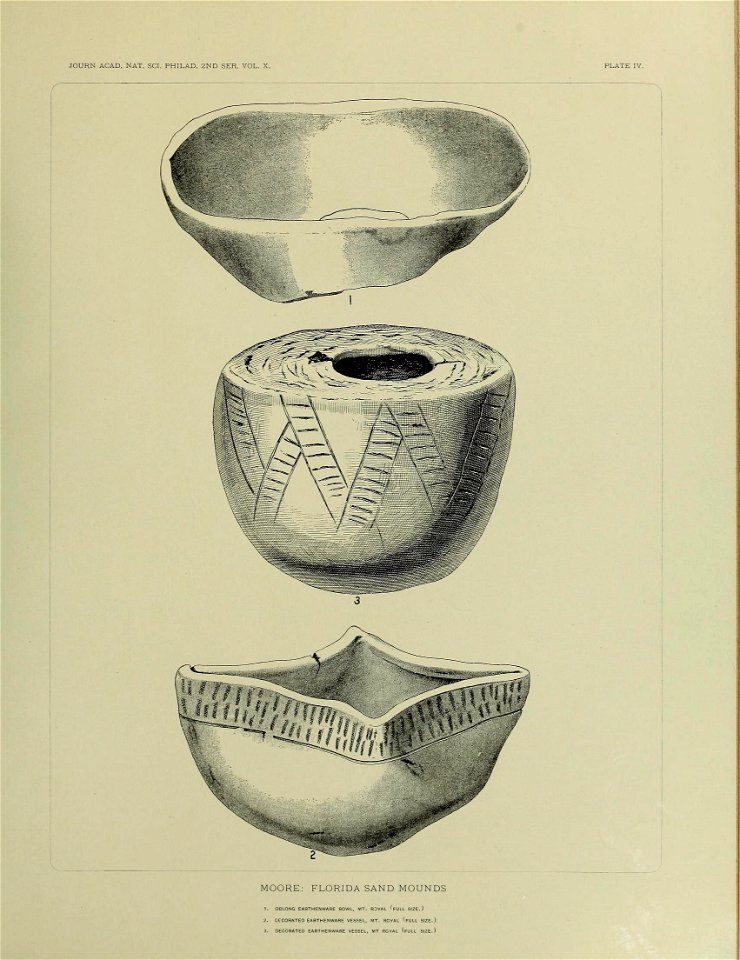 n552_w1150