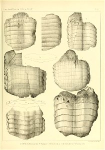 n528_w1150