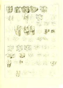 n516_w1150