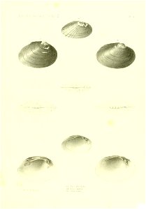 n468_w1150