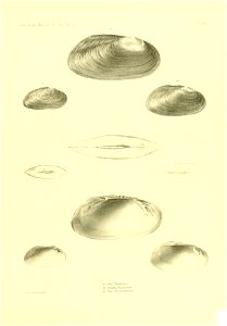 n414_w1150