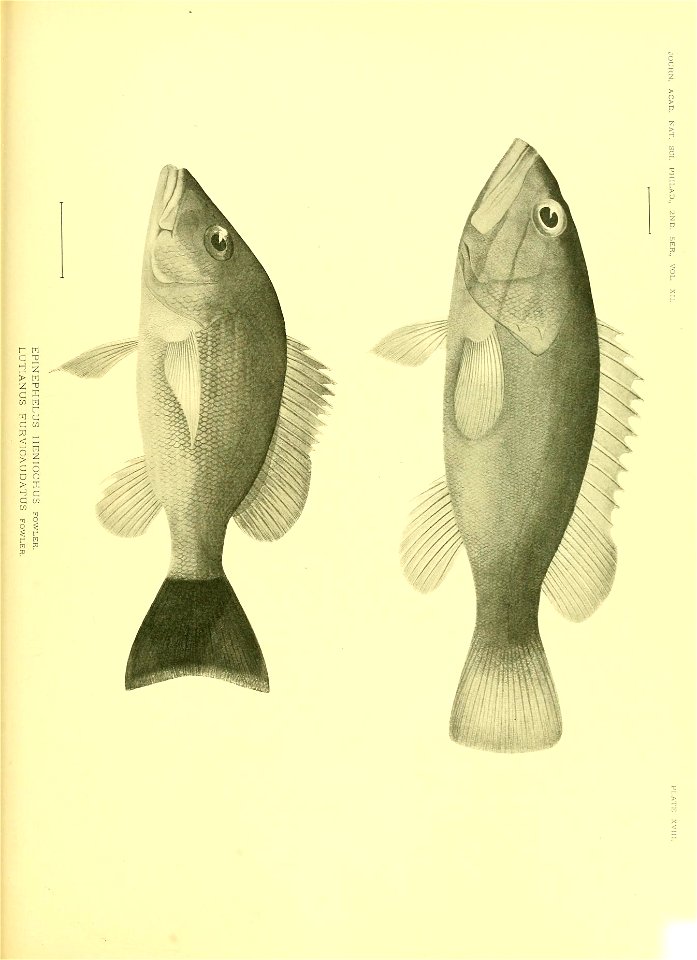 n622_w1150