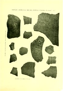 n398_w1150