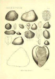 n544_w1150
