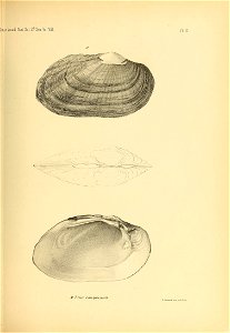 n484_w1150
