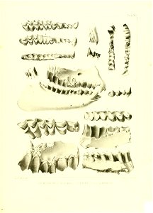 n502_w1150
