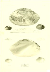 n478_w1150
