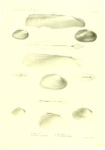 n578_w1150