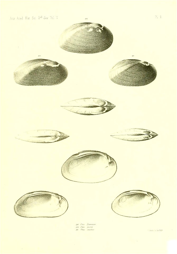 n488_w1150