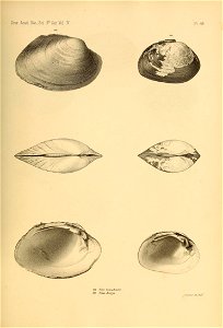n510_w1150