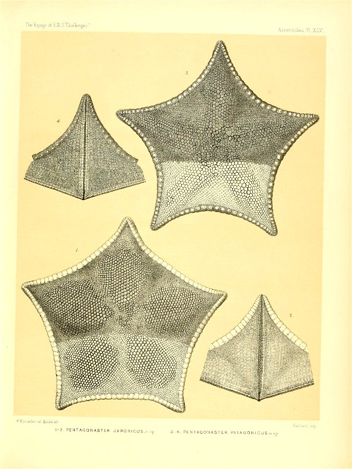 n198_w1150