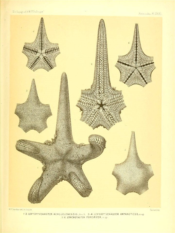 n138_w1150
