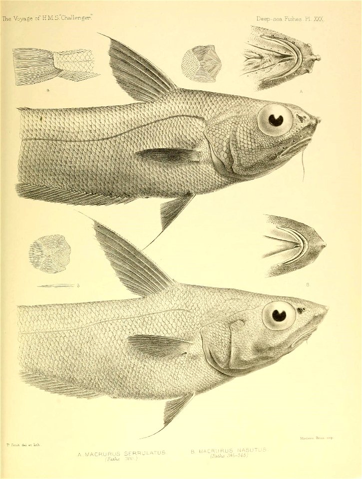 n564_w1150