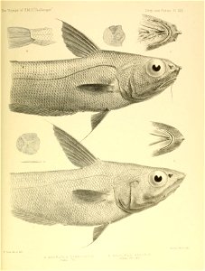n564_w1150