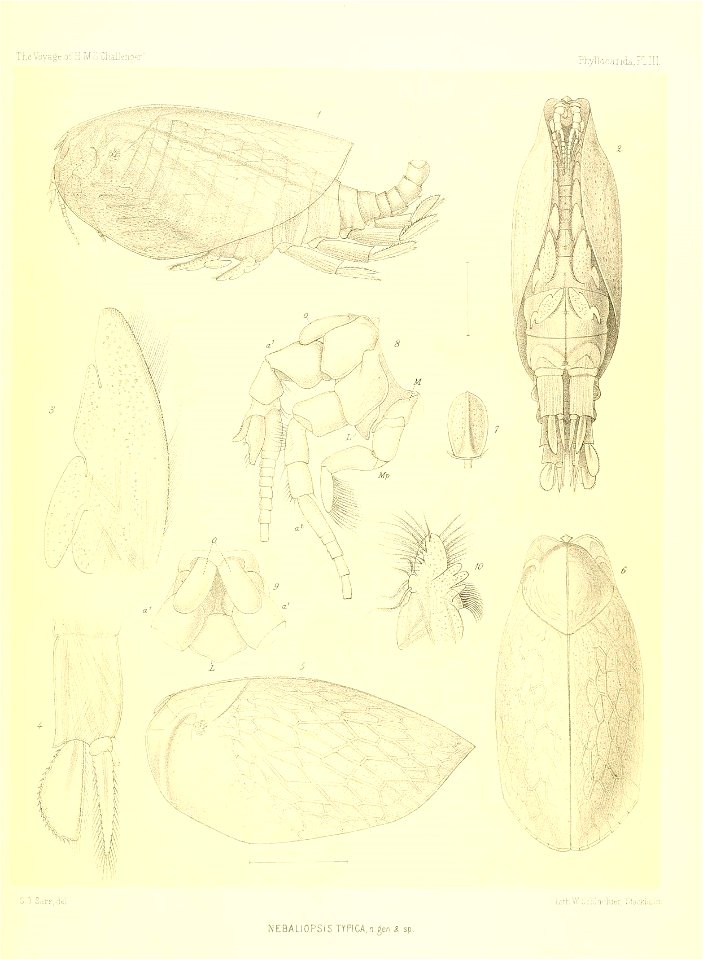 n402_w1150