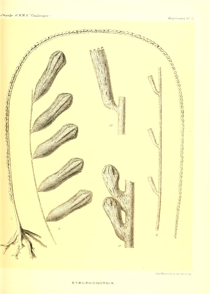 n406_w1150
