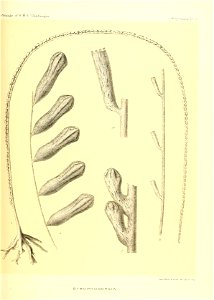 n406_w1150