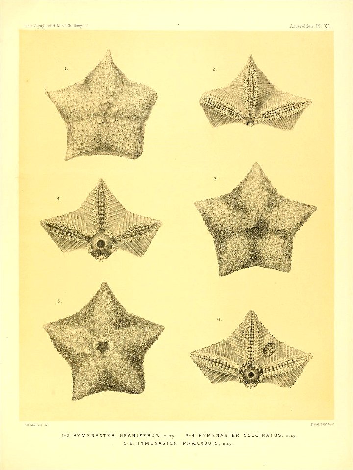 n376_w1150