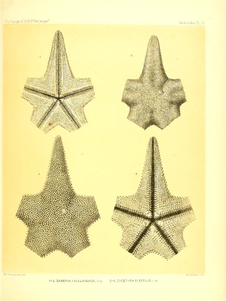 n254_w1150