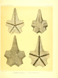 n254_w1150