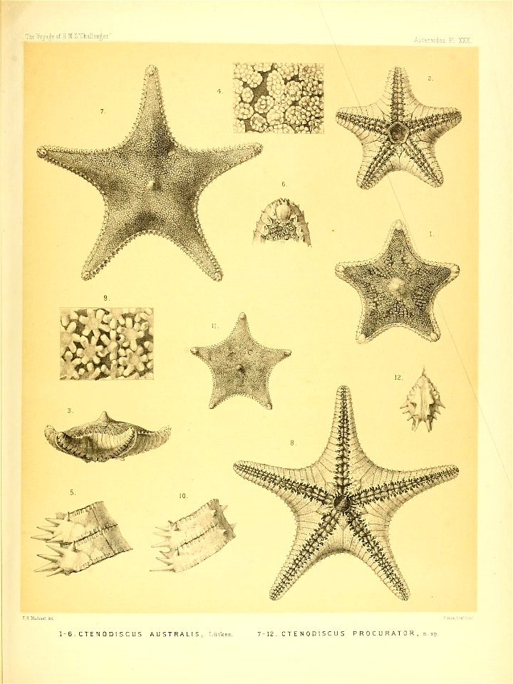 n134_w1150