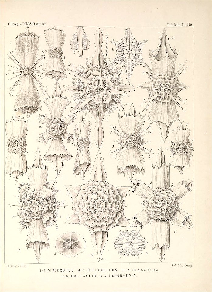 n572_w1150