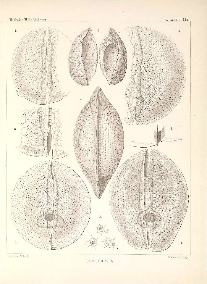 n512_w1150