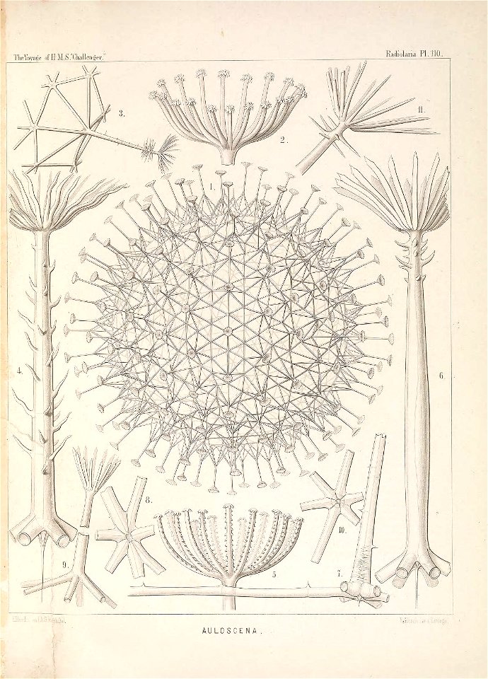 n452_w1150