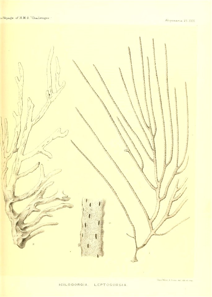 n522_w1150