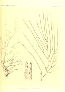 n522_w1150