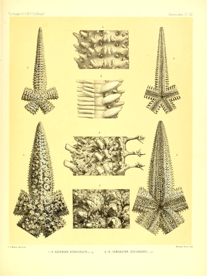 n432_w1150