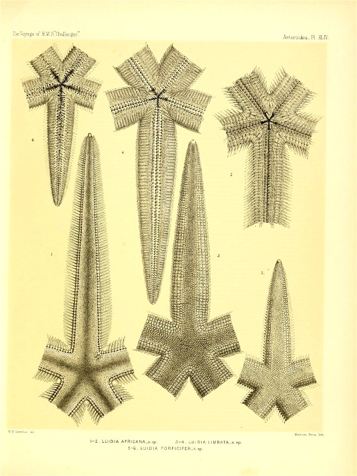 n190_w1150